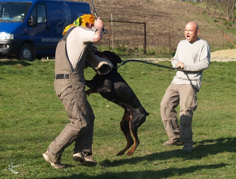 Sant Kreal Harisma - training 4. 4. 2007